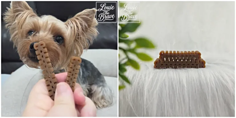 Yorkshire Terrier sniffing dental chew sticks and a close-up of a textured dog dental chew (덴탈껌을 냄새 맡는 요크셔테리어와 돌기가 있는 강아지 덴탈껌 접사)
