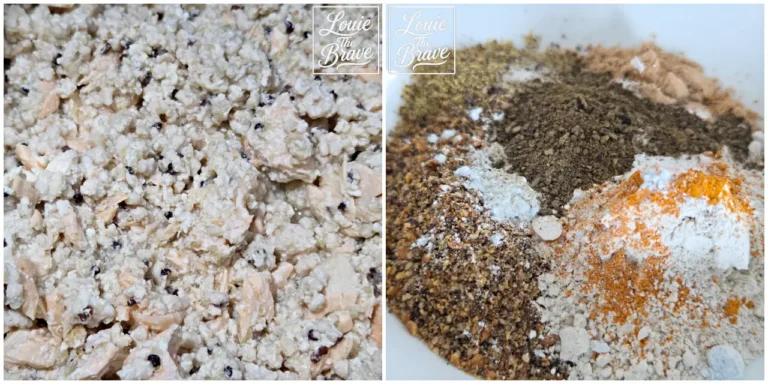Prepared homemade dog food mixture and assorted powdered ingredients in a bowl (완성된 강아지 수제식과 그릇에 담긴 여러 종류의 분말 재료)