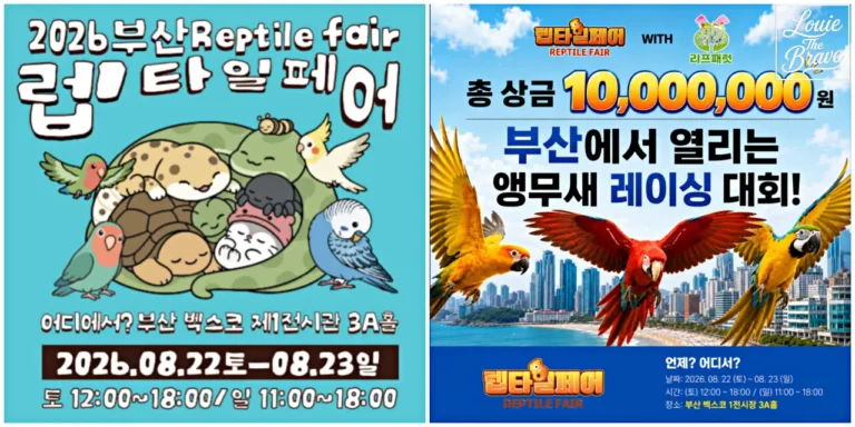 2026 Busan Reptile Fair posters featuring illustrated reptiles, birds, and a parrot racing event (파충류와 조류 일러스트 및 앵무새 레이싱 대회가 포함된 2026 부산 렙타일페어 포스터)