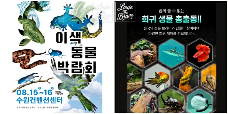 Exotic animal expo posters featuring fish, reptiles, insects, birds, and other rare species (어류·파충류·곤충·조류 등 다양한 희귀 생물이 포함된 이색 동물 박람회 포스터)