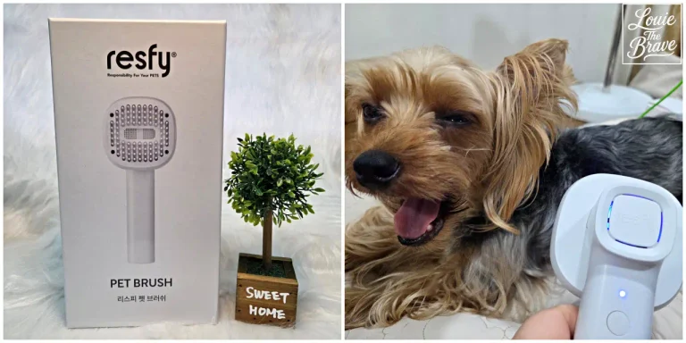 Resfy pet brush package and Yorkshire Terrier being groomed with the electric pet brush (리스피 펫 브러시 제품 패키지와 전동 펫 브러시로 빗질받는 요크셔테리어)