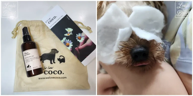 We Love Coco Face Water bottle beside its pouch and Louie the Yorkie with cotton pads on his face (위러브코코 페이스워터 제품과 얼굴 위에 화장솜을 올린 요크셔테리어 루이)