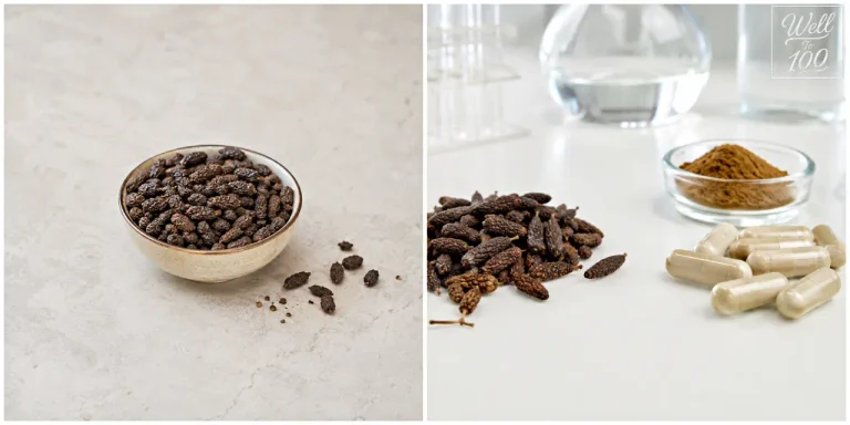Grains of paradise seeds in a small bowl beside loose seeds, powder, and capsules (작은 그릇에 담긴 파라다이스 그레인 씨앗과 낱알, 분말, 캡슐)