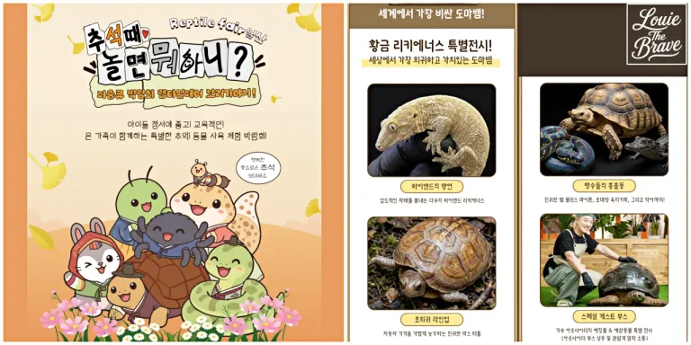 Ilsan Reptile Fair 2026 poster featuring reptile characters, a Golden Leachianus gecko exhibit, tortoises, and other featured animals (2026 렙타일페어 일산 포스터와 황금 리키에너스, 거북이 등 특별전 안내 이미지)