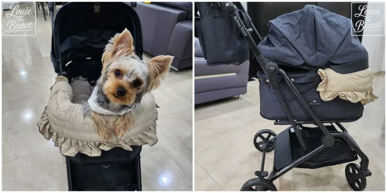 Royal Tails Florence Pet Stroller Review photo showing Louie riding in the stroller beside a full side view (로얄테일즈 플로렌스 유모차에 탄 루이와 유모차 전체 측면 모습)