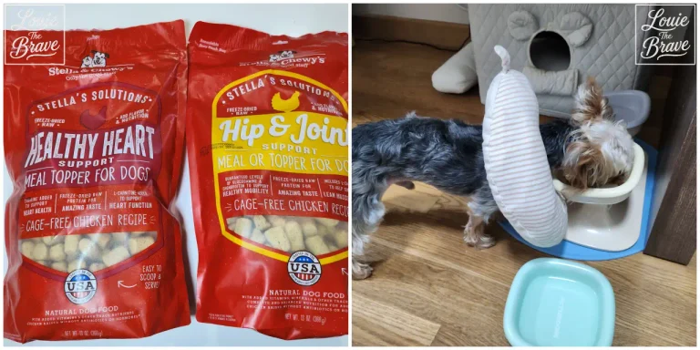 Stella & Chewy's Meal Mixers Healthy Heart and Hip & Joint beside a Yorkshire Terrier eating (스텔라앤츄이스 밀믹서 헬시하트와 힙앤조인트 옆에서 식사하는 요크셔테리어)